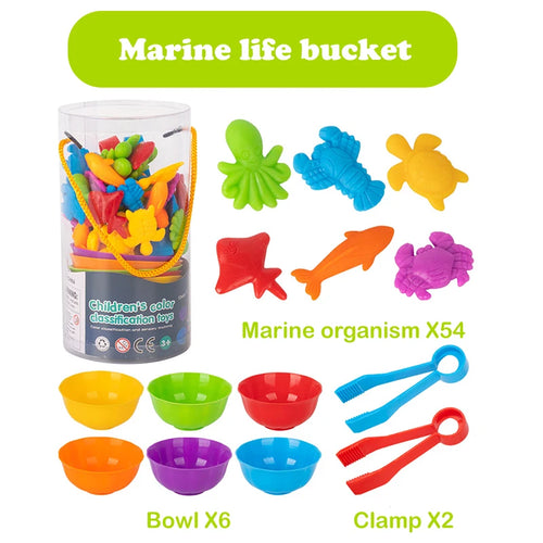 Colorful Animal Series Children's Early Education Toys